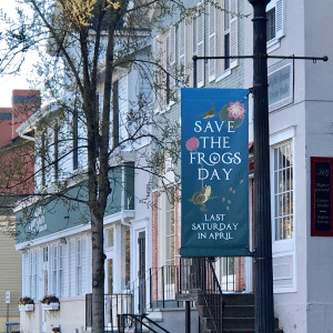 Save the Frogs Day banner on Main Street in Pittsford