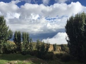 Clouds and trees as seen from Cruz Loma, near Quito, Ecuador