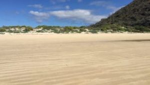 A wide, white sand beach on the island of Floreana in the Galapagos