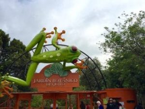 A tree frog sculpture welcomes visitors to the Jardin Botanico in Quito.